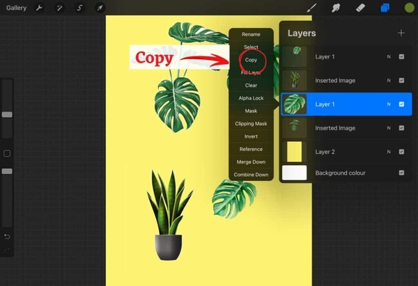 3 how-to-copy-and-paste-an-entire-layer-in-procreate