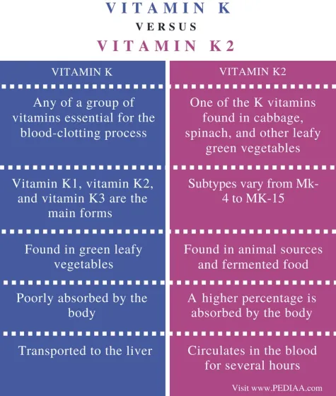 4 what-is-the-difference-between-vitamin-k1-and-vitamin-k2