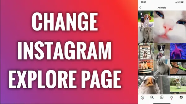 7 how-to-change-your-explore-page-on-instagram