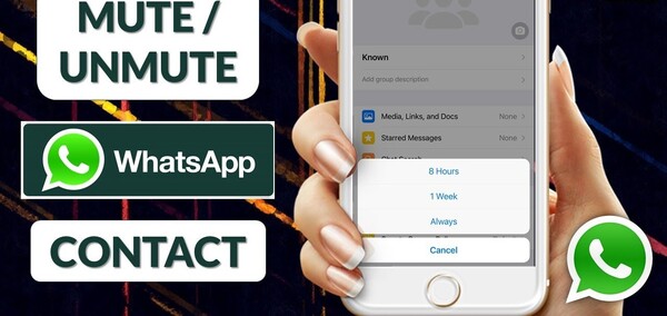 7 how-to-tell-if-someone-has-muted-you-on-whats-app