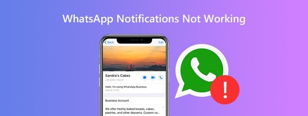 8 7-ways-to-fix-the-whats-app-notification-not-working