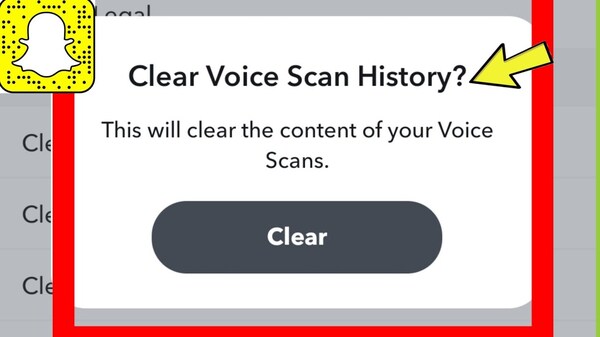 8 how-to-clear-voice-scan-history
