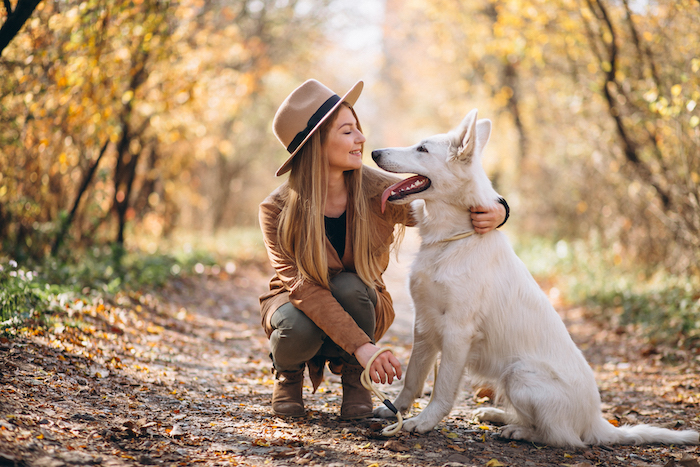5 Tips to Keep Your Pets Safe and Happy