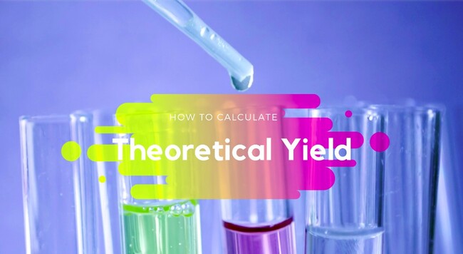 How to Calculate Theoretical Yield?