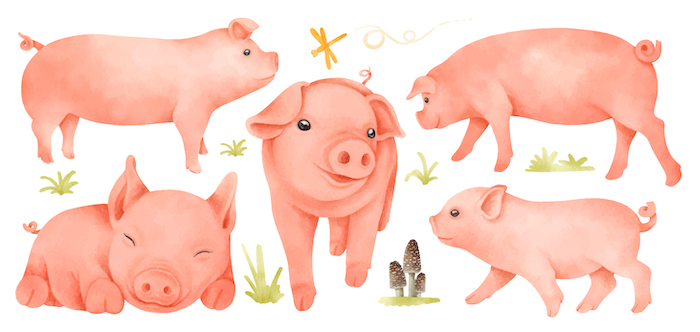 How to Draw Piggy the Perfect Way Every Time